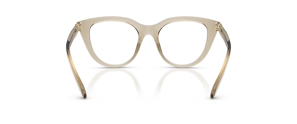 Swarovski SK2052 Transparent Beige Frames
