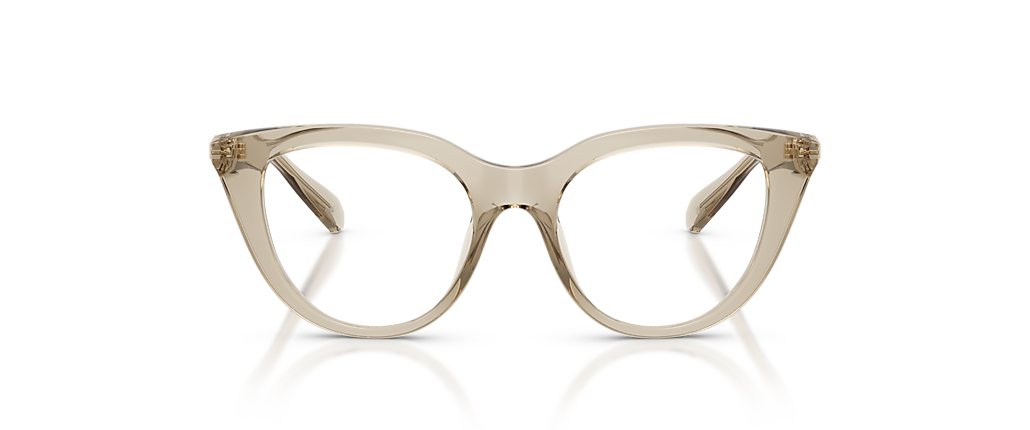 Swarovski SK2052 Transparent Beige Frames