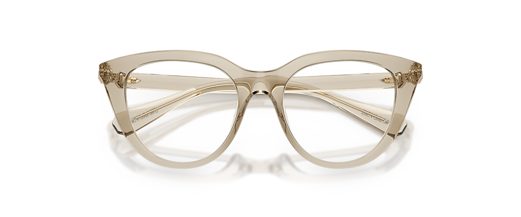 Swarovski SK2052 Transparent Beige Frames
