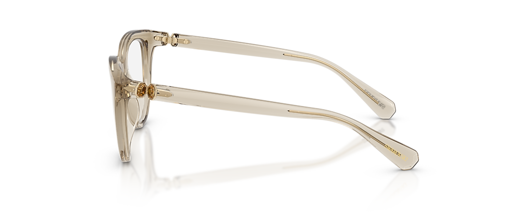 Swarovski SK2052 Transparent Beige Frames