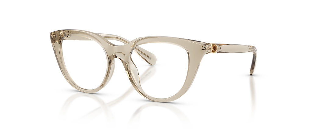 Swarovski SK2052 Transparent Beige Frames