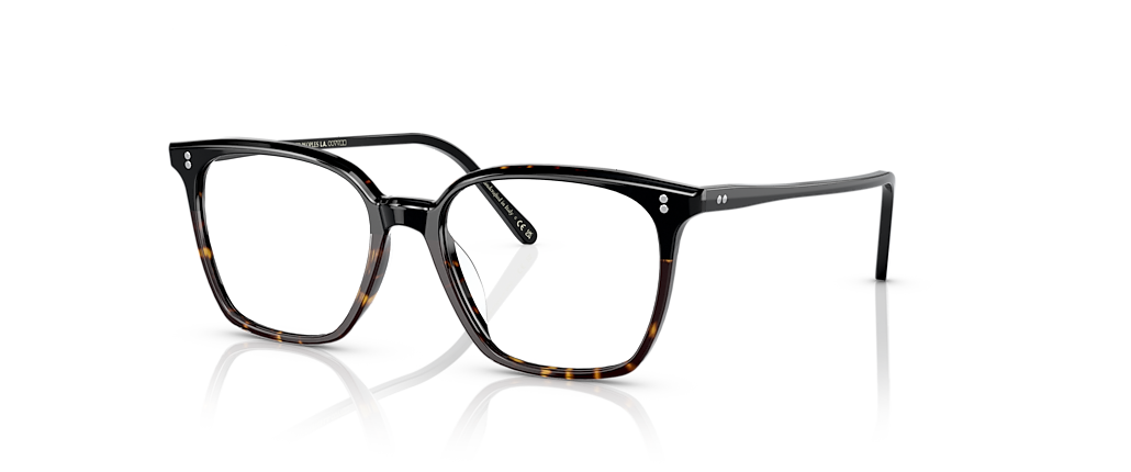 Oliver Peoples OV5488U Rasey Black/362 Gradient Frames