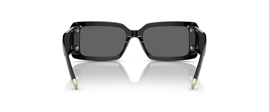 Tiffany & Co. TF4197 Black Sunglasses Tiffany & Co. TF4197 Black Sunglasses