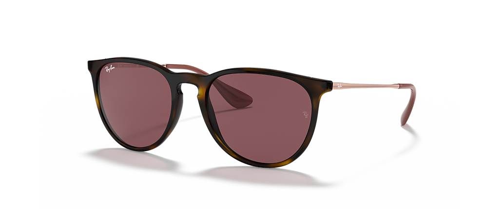 Ray-Ban RB4171 Erika Color Mix Havana Sunglasses Ray-Ban RB4171 Erika Color Mix Havana Sunglasses