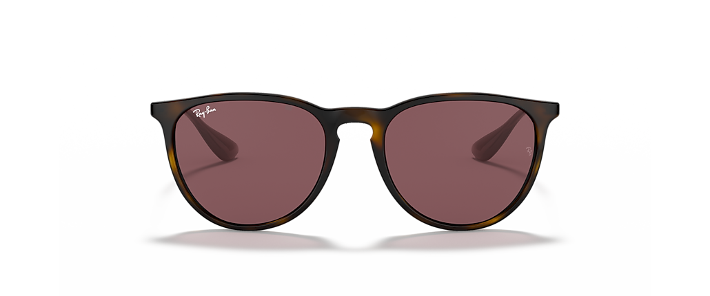 Ray-Ban RB4171 Erika Color Mix Havana Sunglasses Ray-Ban RB4171 Erika Color Mix Havana Sunglasses