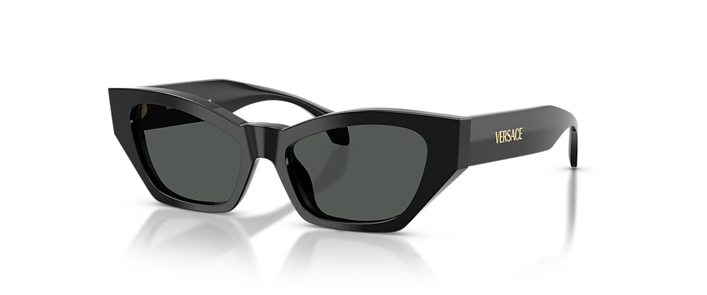 Versace VE4488U Black Sunglasses Versace VE4488U Black Sunglasses