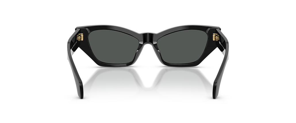 Versace VE4488U Black Sunglasses Versace VE4488U Black Sunglasses