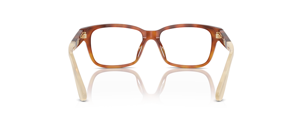 Brunello Cucinelli BC3003 Havana Frames Brunello Cucinelli BC3003 Havana Frames