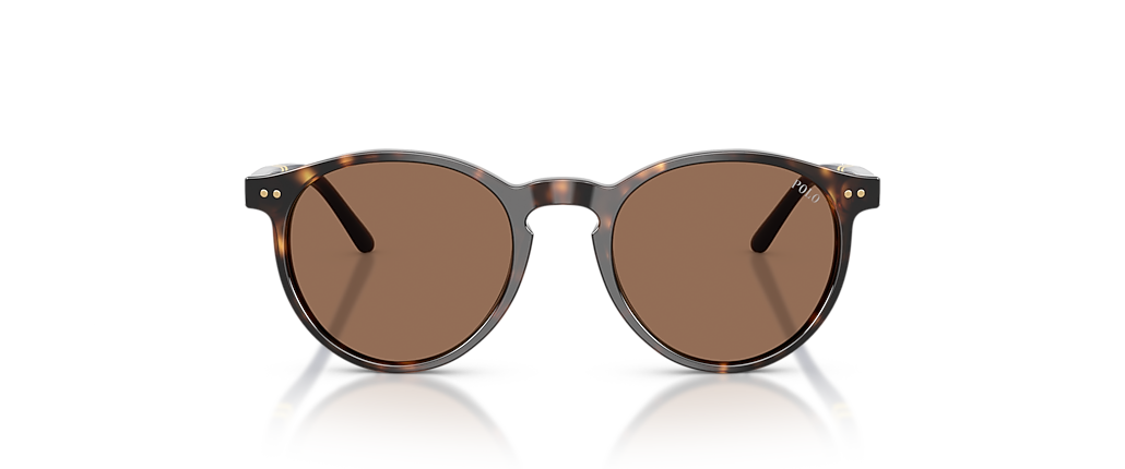 Polo Ralph Lauren PH4236 Shiny Dark Havana Sunglasses