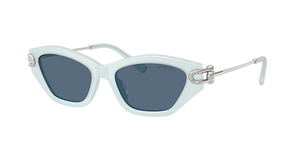 Tiffany & Co. TF4231U