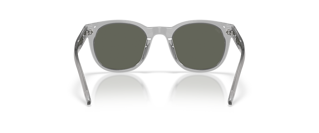 Costa 6S2018 Middles Gray Crystal Sunglasses