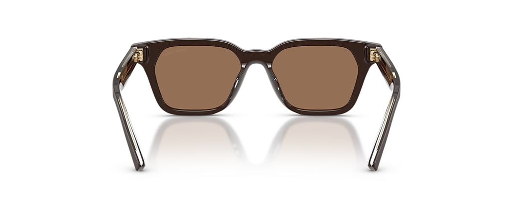 Giorgio Armani AR8251U Brushed Brown Sunglasses