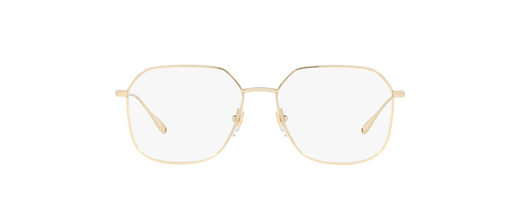 Gucci GG1032O Gold Light Frames