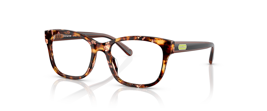 Coach HC6197U Pearlescent Amber Tortoise Frames Coach HC6197U Pearlescent Amber Tortoise Frames