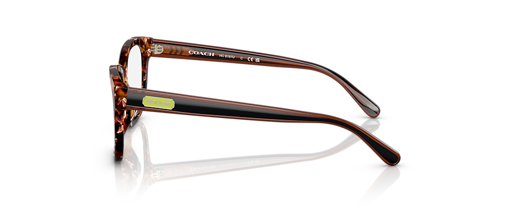 Coach HC6197U Pearlescent Amber Tortoise Frames Coach HC6197U Pearlescent Amber Tortoise Frames