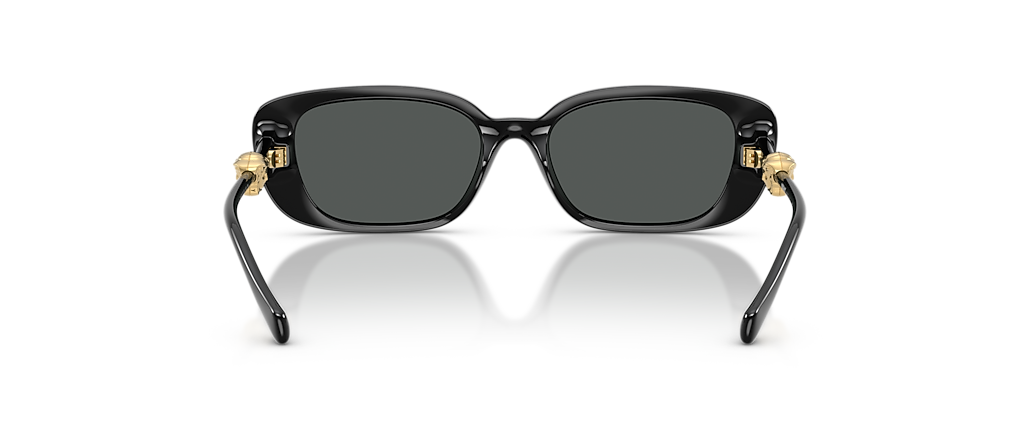 Versace VE4504D Black Sunglasses Versace VE4504D Black Sunglasses