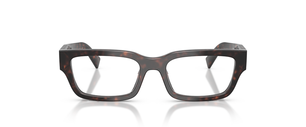 Prada PR C02VF Root Tortoise Frames