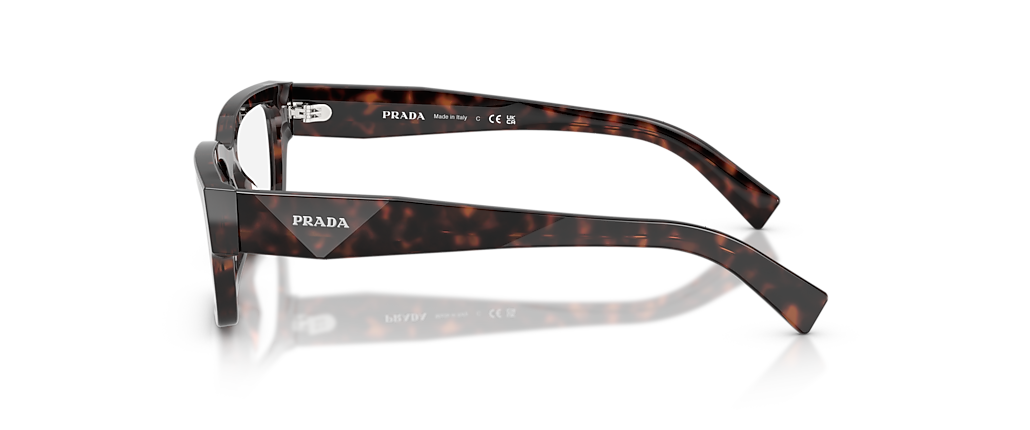 Prada PR C02VF Root Tortoise Frames