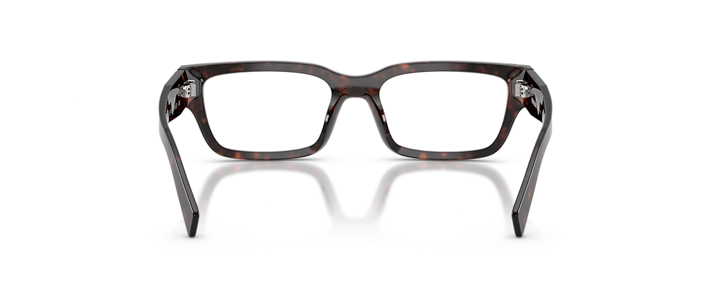 Prada PR C02VF Root Tortoise Frames