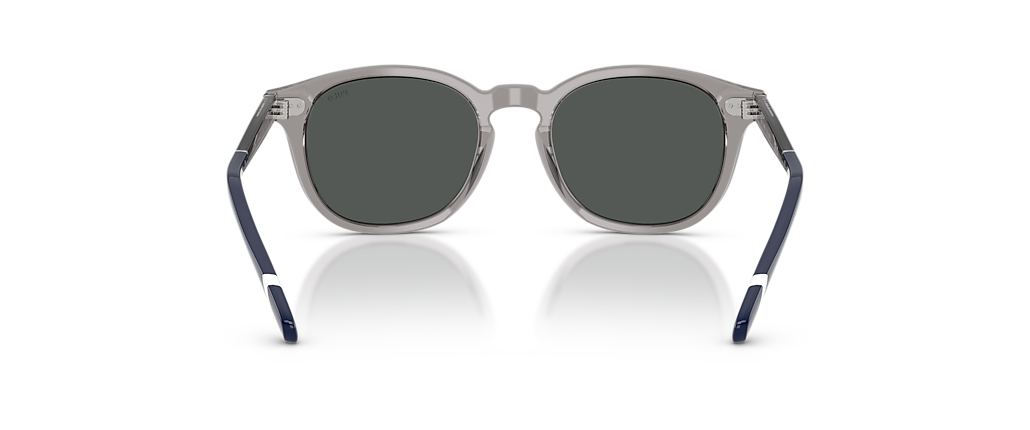 Polo Ralph Lauren PH4206 Shiny Transparent Grey Sunglasses