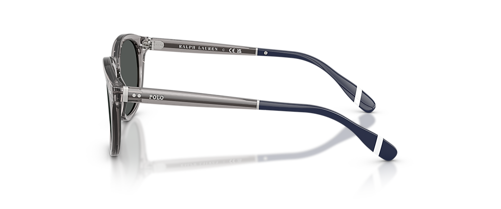 Polo Ralph Lauren PH4206 Shiny Transparent Grey Sunglasses