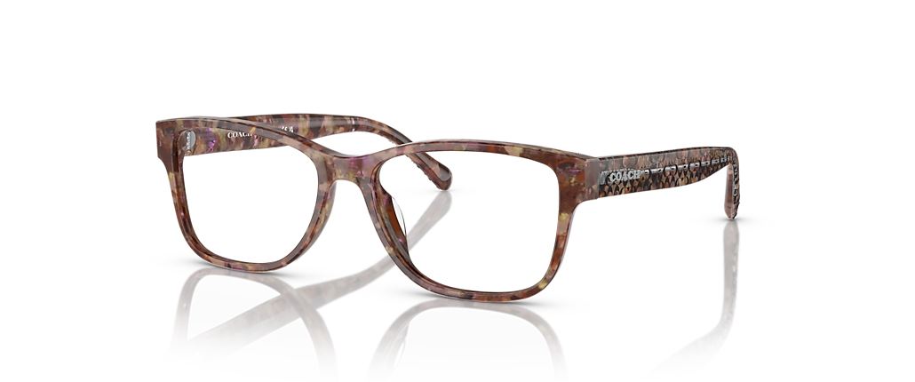 Coach HC6208U Petal Tortoise Frames Coach HC6208U Petal Tortoise Frames