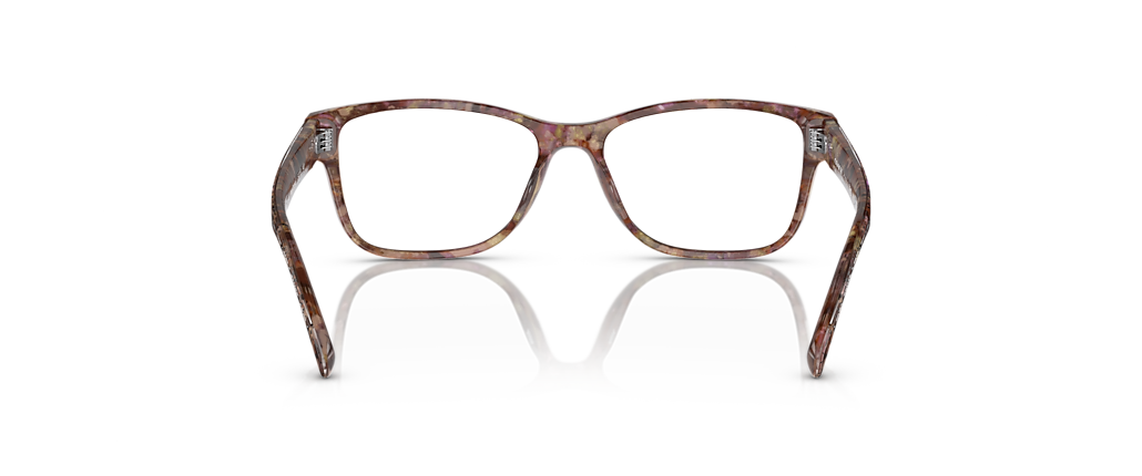 Coach HC6208U Petal Tortoise Frames Coach HC6208U Petal Tortoise Frames