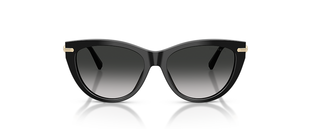 Tiffany & Co. TF4253F Black Sunglasses