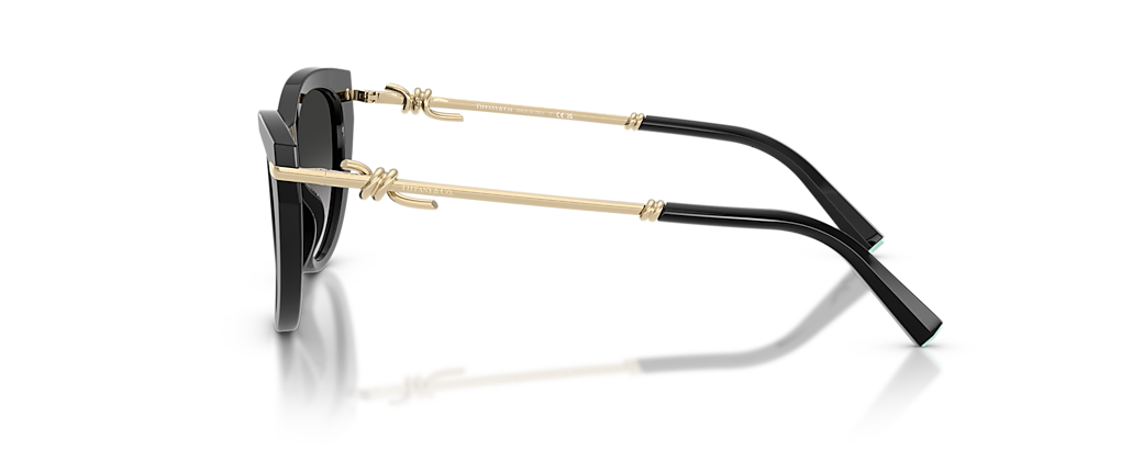 Tiffany & Co. TF4253F Black Sunglasses