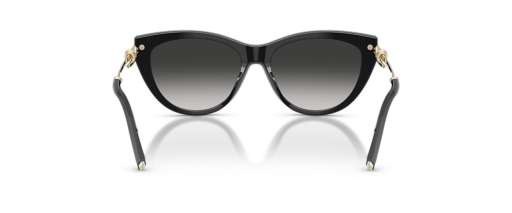 Tiffany & Co. TF4253F Black Sunglasses