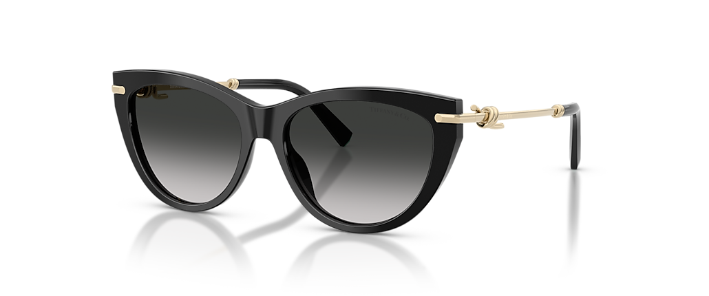 Tiffany & Co. TF4253F Black Sunglasses
