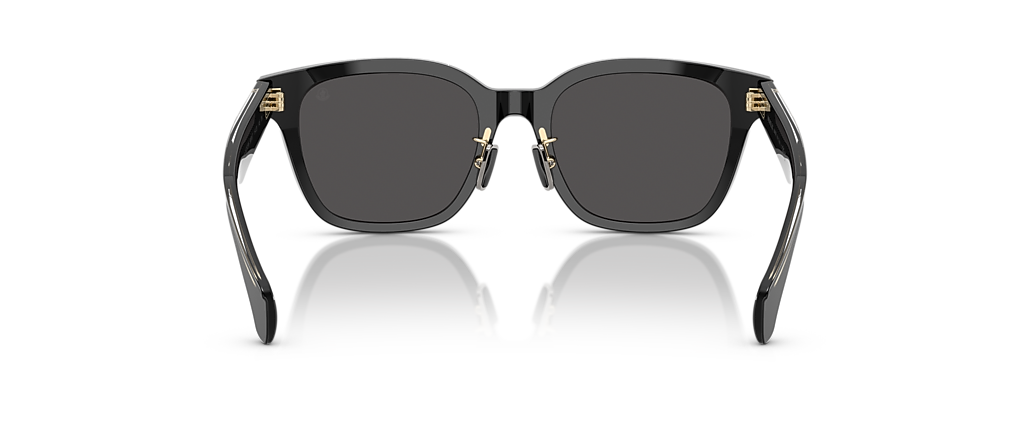 Moncler ME6002D Metrope Shiny Black Sunglasses