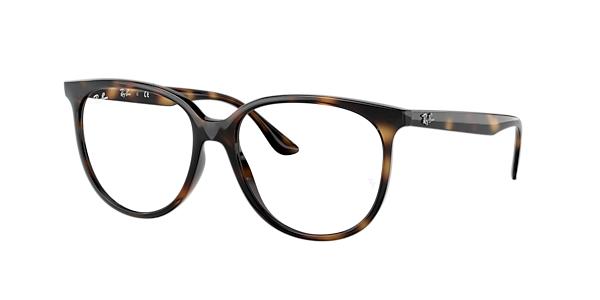 Ray-Ban RB4378V Optics