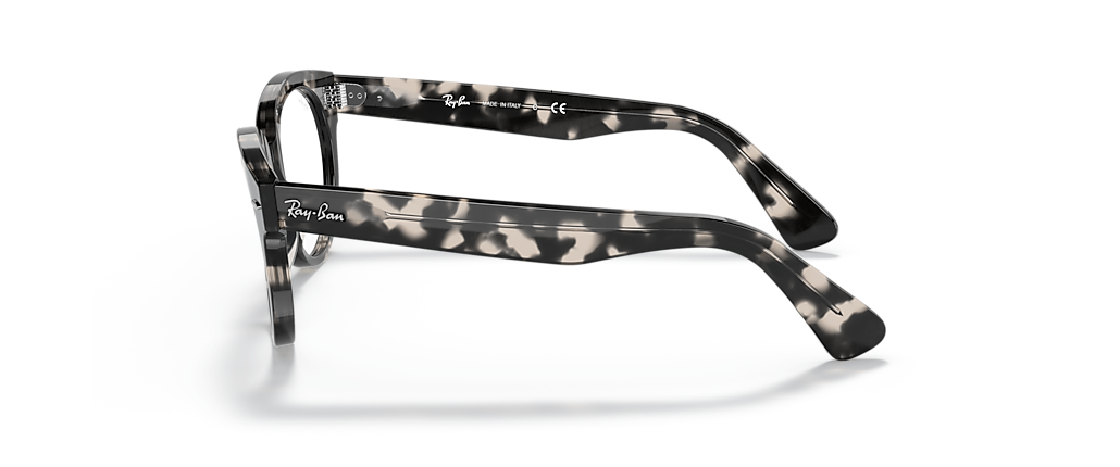 Ray-Ban RB2199V Orion Optics Grey Havana Frames