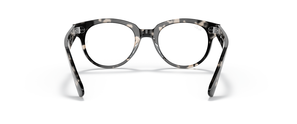 Ray-Ban RB2199V Orion Optics Grey Havana Frames