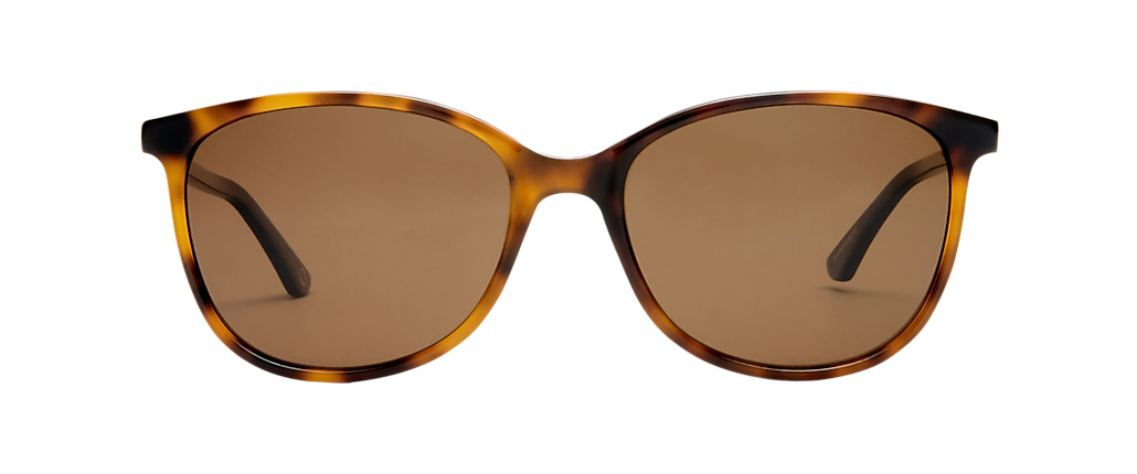 Oroton ORO1803217 Tortoise Sunglasses