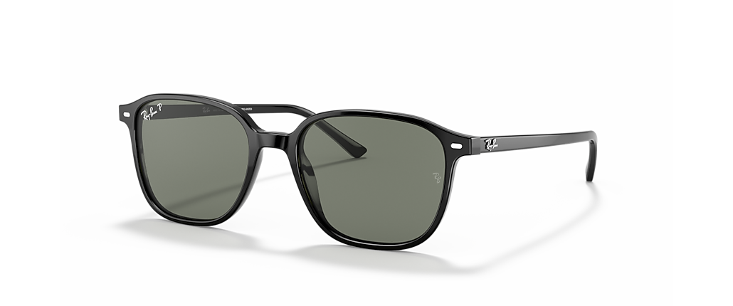 Ray-Ban RB2193 Leonard Black Sunglasses Ray-Ban RB2193 Leonard Black Sunglasses