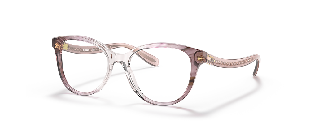 Coach HC6177 Transparent Pink Ombre Frames Coach HC6177 Transparent Pink Ombre Frames