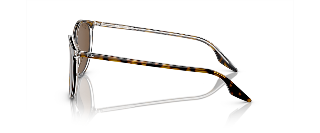 Ray-Ban RB2204F Havana On Transparent Sunglasses Ray-Ban RB2204F Havana On Transparent Sunglasses