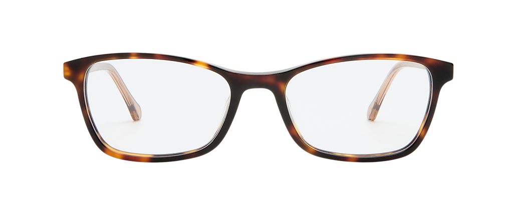 Oroton Emma Tortoise Frames