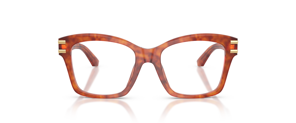 Dolce&Gabbana DG3419 Camel Havana Frames Dolce&Gabbana DG3419 Camel Havana Frames