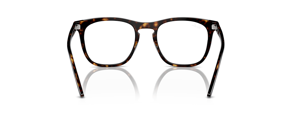 Ray-Ban RB2210V Optics Havana Frames