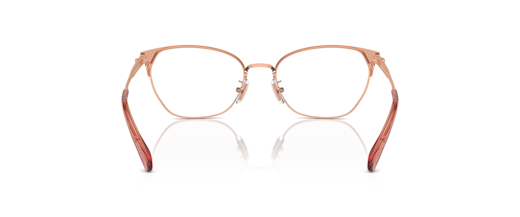 Coach HC5169 Shiny Rose Gold/Nutmeg Frames