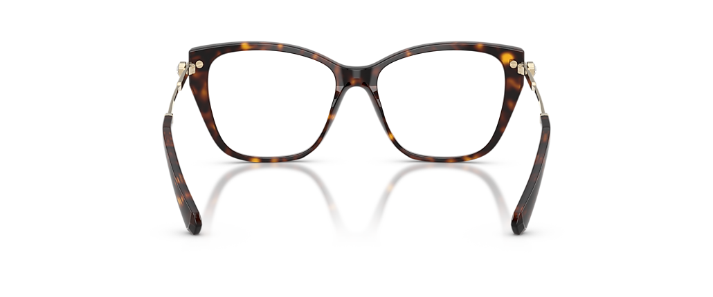 Swarovski SK2060 Havana Frames