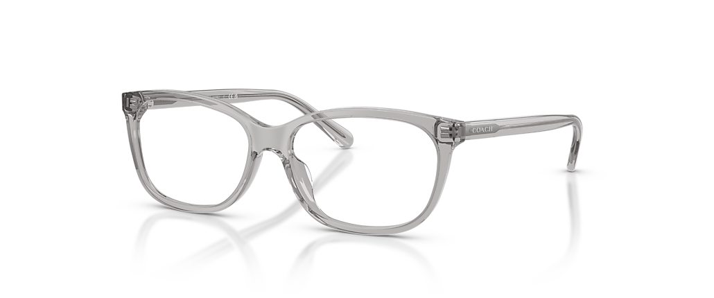 Coach HC6139U Transparent Grey Frames Coach HC6139U Transparent Grey Frames