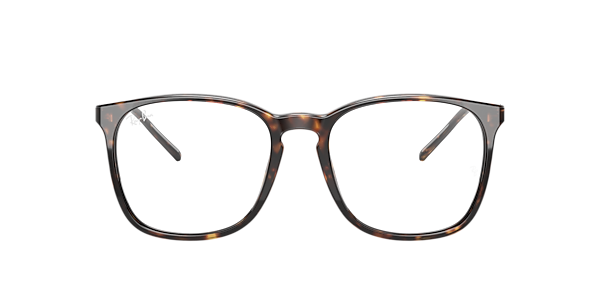 Ray-Ban RB5387 Optics