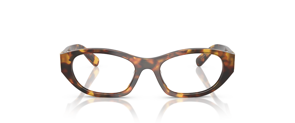 Miu Miu MU 03WVF Havana Honey Frames