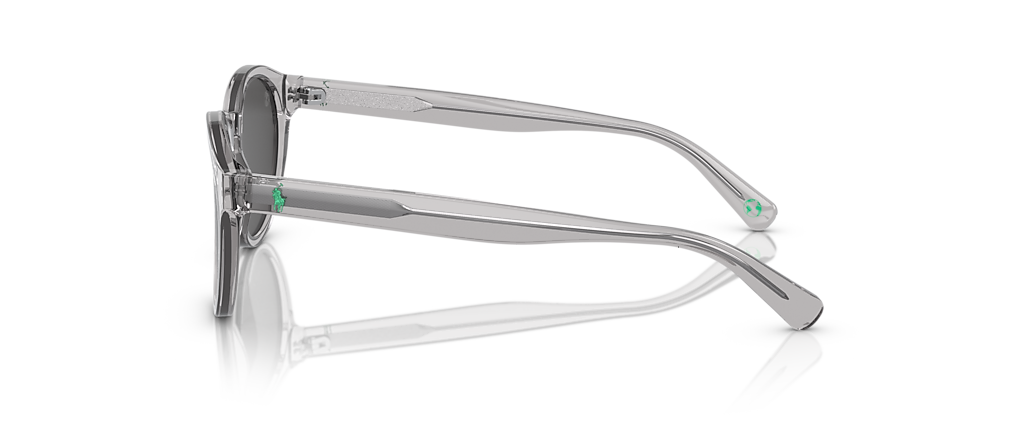 Polo Ralph Lauren PH4192 Shiny Transparent Grey Sunglasses