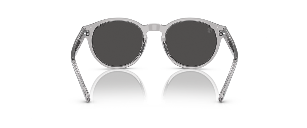 Polo Ralph Lauren PH4192 Shiny Transparent Grey Sunglasses