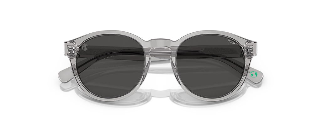 Polo Ralph Lauren PH4192 Shiny Transparent Grey Sunglasses